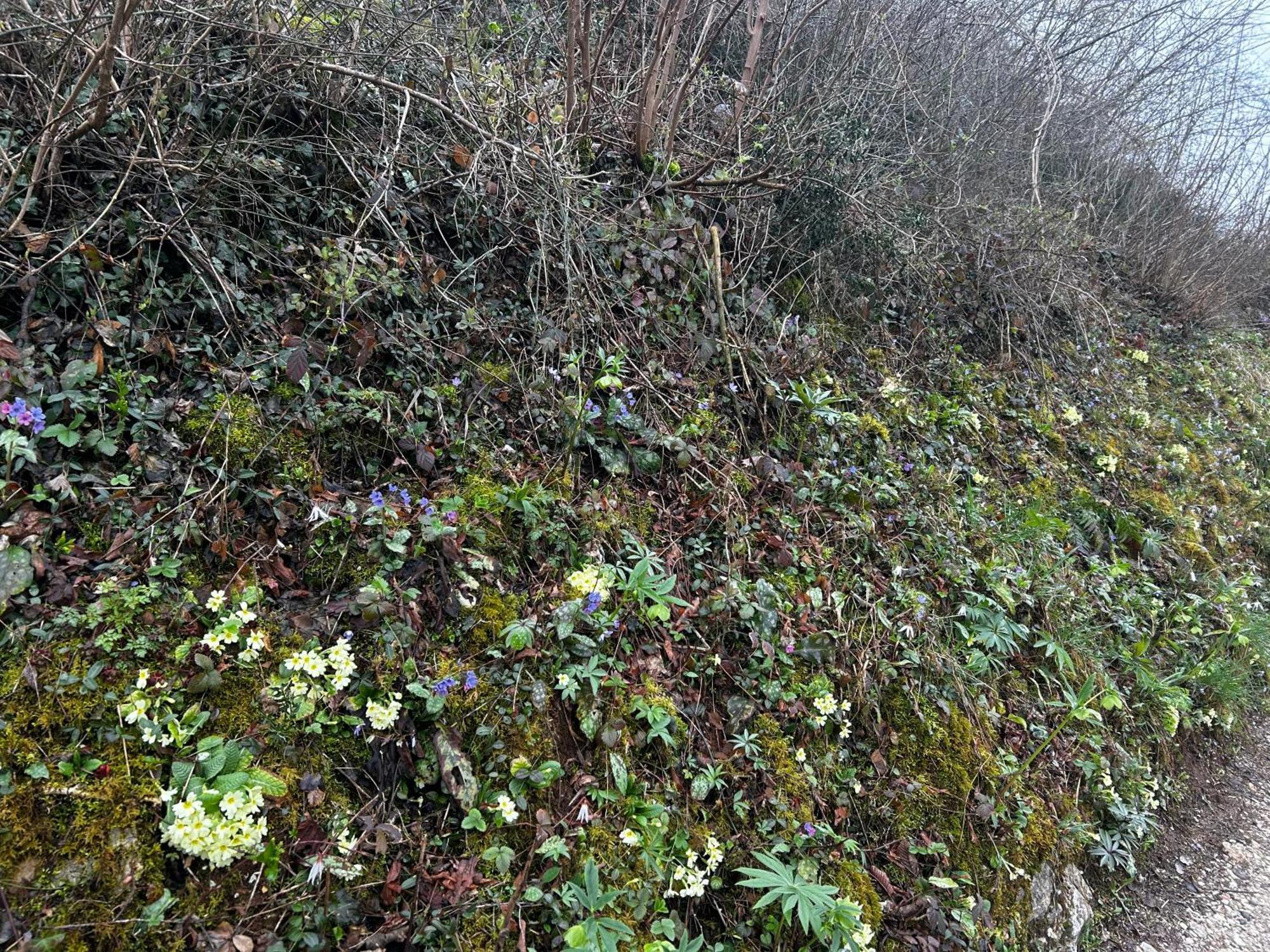 Nuovo B&B Colline San Benedetto Маростика Экстерьер фото